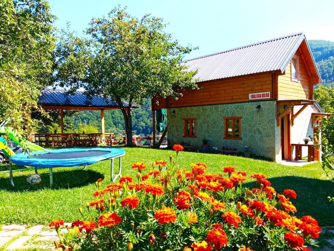 Andrijevica Kraljska Koliba - Kralje'S Cottage מראה חיצוני תמונה
