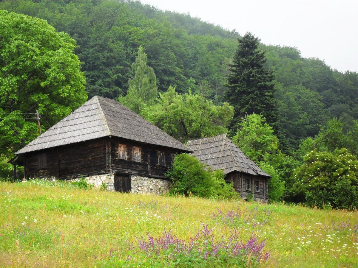 Andrijevica Kraljska Koliba - Kralje'S Cottage מראה חיצוני תמונה