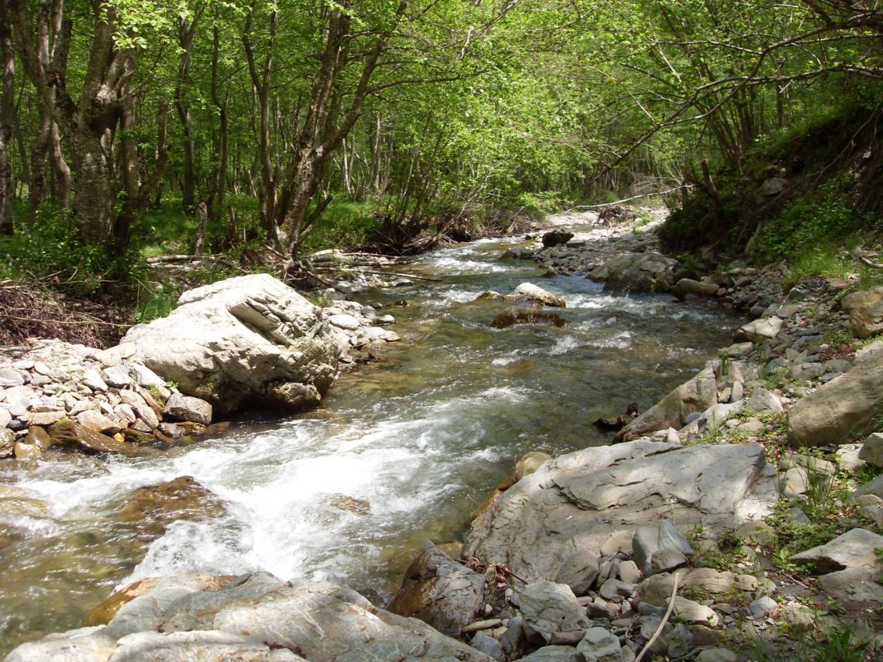 Andrijevica Kraljska Koliba - Kralje'S Cottage מראה חיצוני תמונה